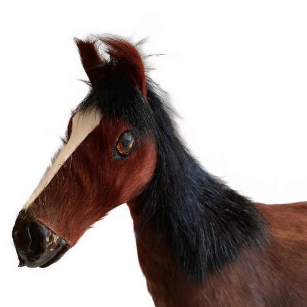 Pferd aus Rinderfell